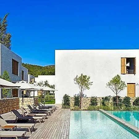Voyage Torba
